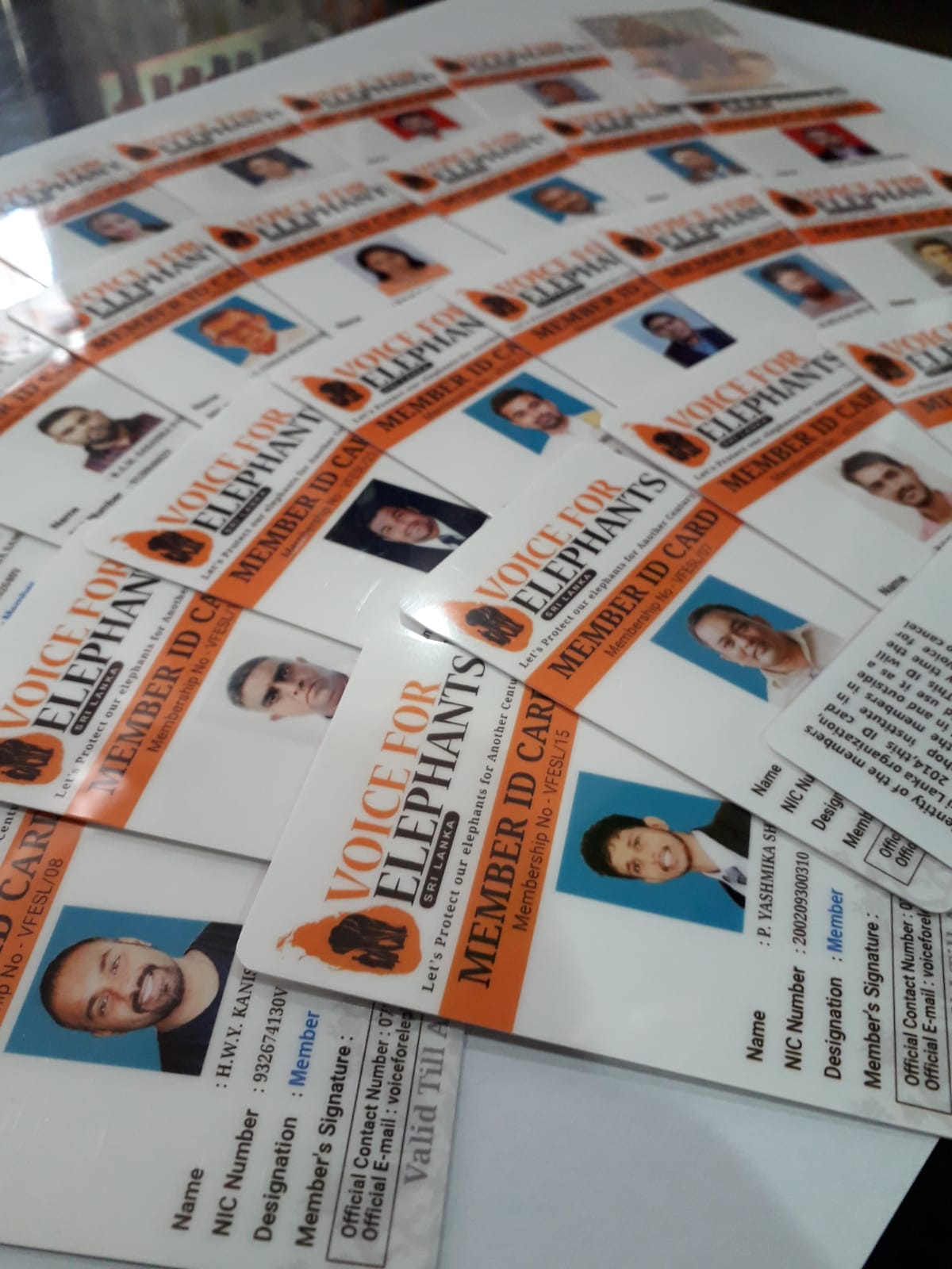 School ID cards printing